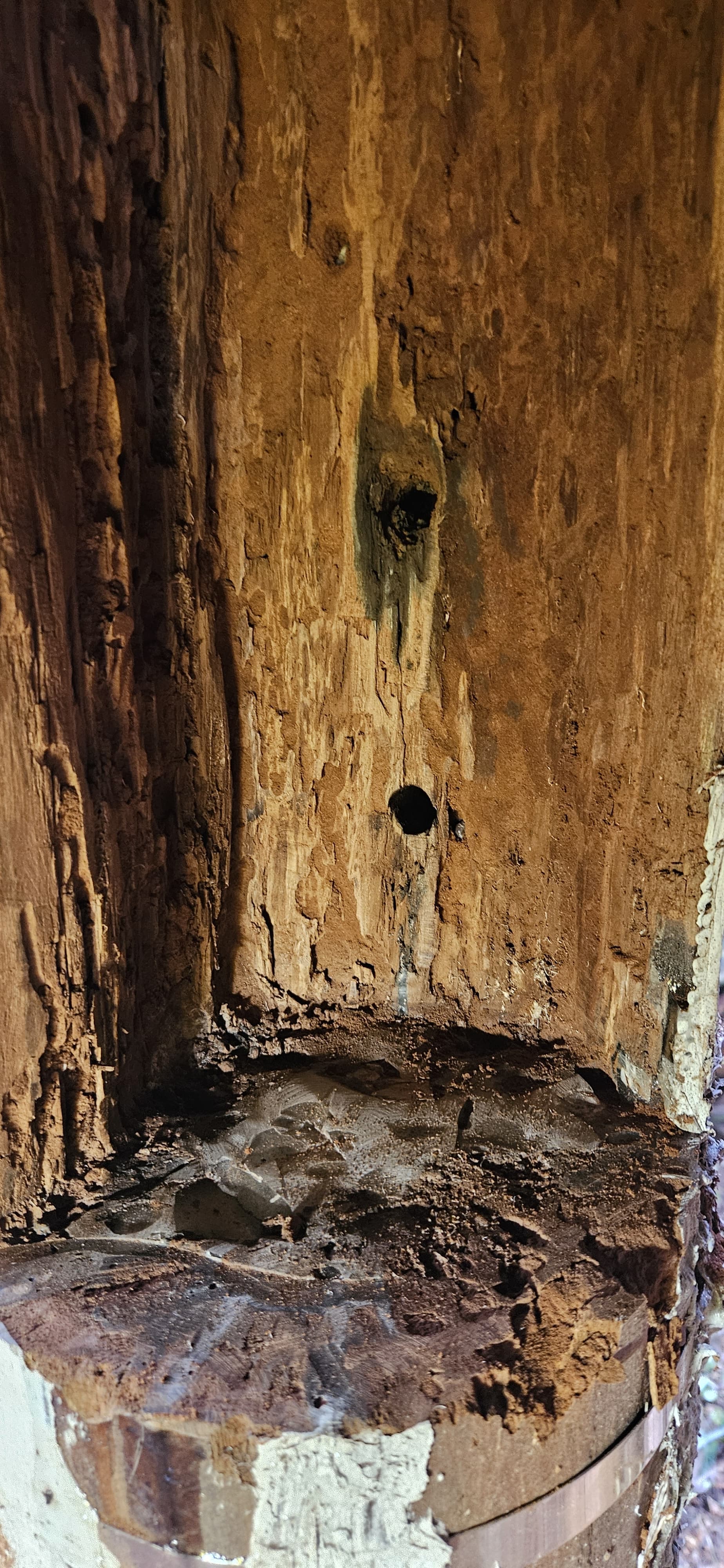 Lifestyle Urban Residence - Before